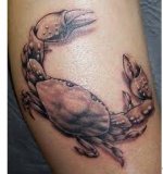 Realistic Crab Tattoo For Cancer Sign.